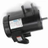 120728.00 Leeson | 3 Hp 3450 RPM Delta Unisaw Electric Motor 230 Volts 1 120728.00 Leeson | 3 Hp 3450 RPM Delta Unisaw Electric Motor 230 Volts -Motor Electrical Shop 120728 side 43330.1527257306