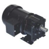 Bison 016-246-6082 Gear Motor 1/6 Hp 20 RPM 115/230V 60/50 HZ. -Motor Electrical Shop 200 series lg 42294.1435082391