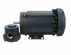 114629.00 Leeson 3/4 Hp 3600 RPM 208-230/460V 56C Frame TEFC Explosion-Proof (Rigid Base) 3-Phase Motor -Motor Electrical Shop 29 side 54534.1642454453