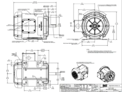 FX34FK001 | 3/4 HP 3600 RPM 56C 575V 3 Phase TEFC, FLEX-IN-1 Marathon Electric Motor -Motor Electrical Shop flex 575V TEFC line 04242.1687360599
